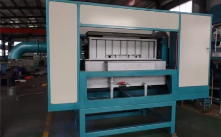 How to Improve Packaging Efficiency with a Pulp Molding Machine