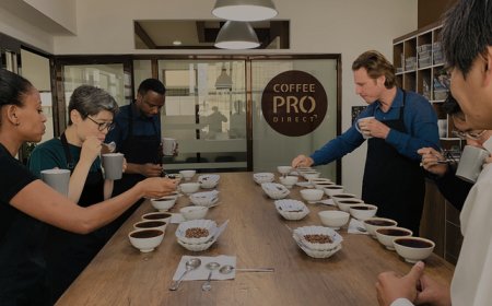 lab sample roaster | Coffee Pro Direct