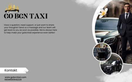 Seamless Barcelona Taxi Hire: Premier Concert Night Transport