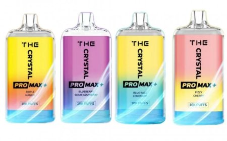 Crystal Pro Max Plus 10000 Box of 10 UK Wholesale