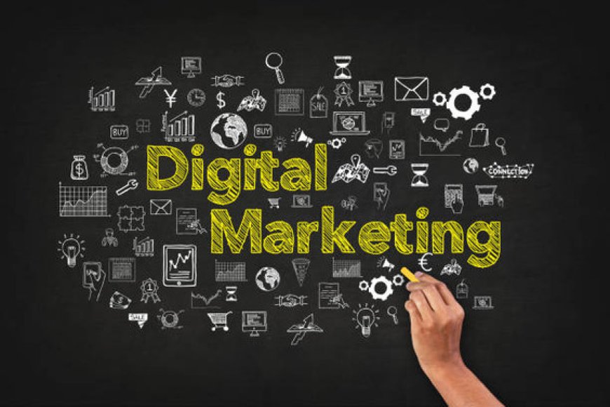 From Local to Global: Digital Marketing Agency in Delhi That Delivers?