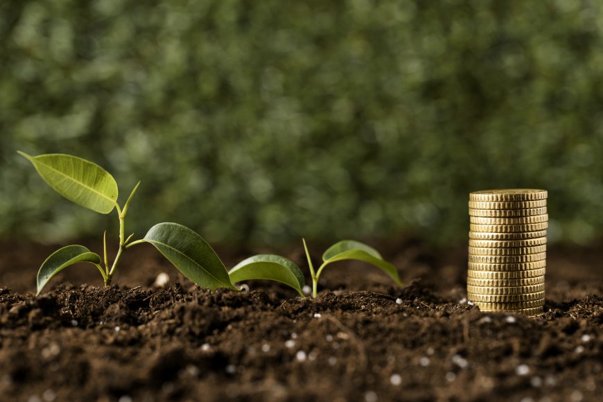 Will Top Mutual Fund Software in India Help Me Track Investors’ Financial Year–Wise Performance?