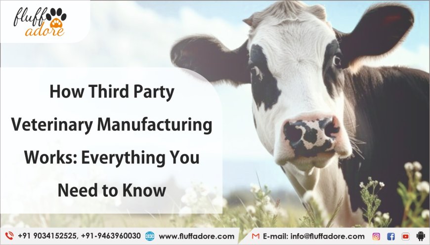 Find Veterinary Third Party Manufacturers For Advanced Manufacturing Solutions