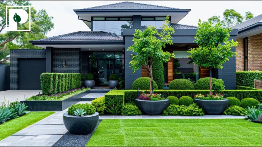 How to Make Your Backyard the Neighborhood’s Favorite Spot?