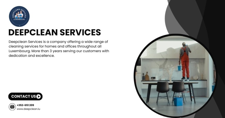 Top Eco-friendly Cleaning Services Luxembourg for Homes