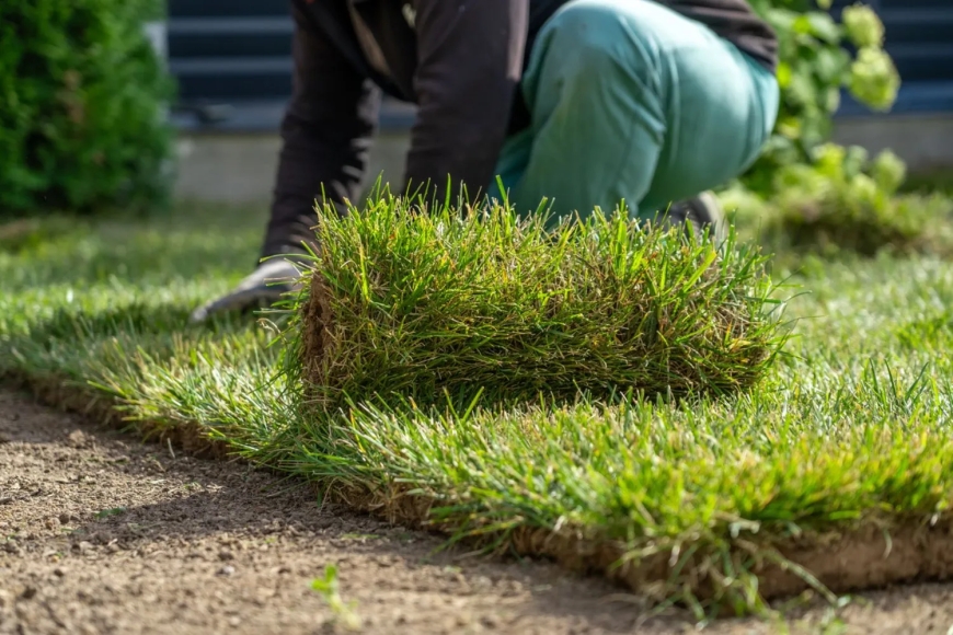 Why Artificial Grass Installation in Dallas TX is the Smart Choice for Homeowners