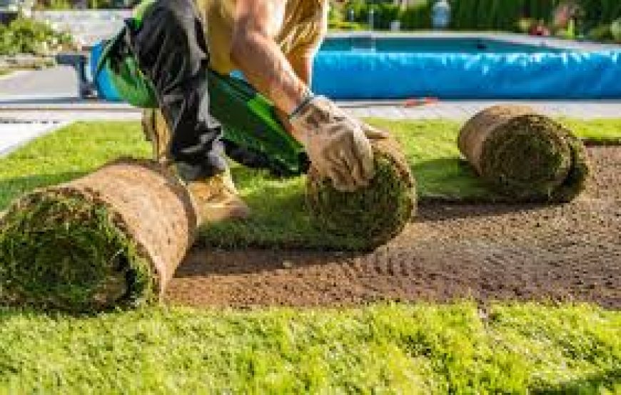 How RP Landscape’s Commercial Landscaping in DFW Enhances Your Business Curb Appeal