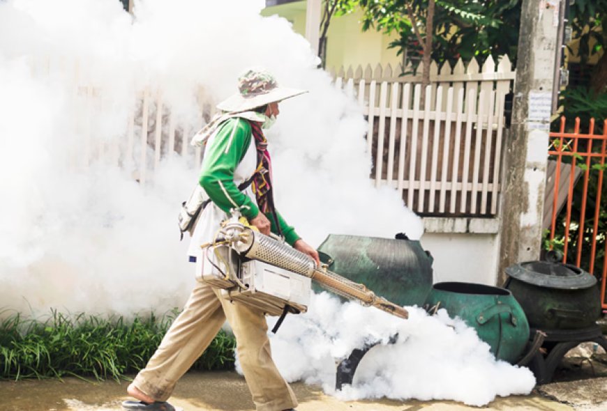 Is Environmentally Friendly Mosquito Control the Key to a Healthier, Safer Home?
