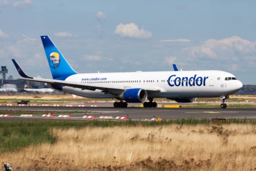 Condor Airlines SEA Terminal +1-888-738-0817