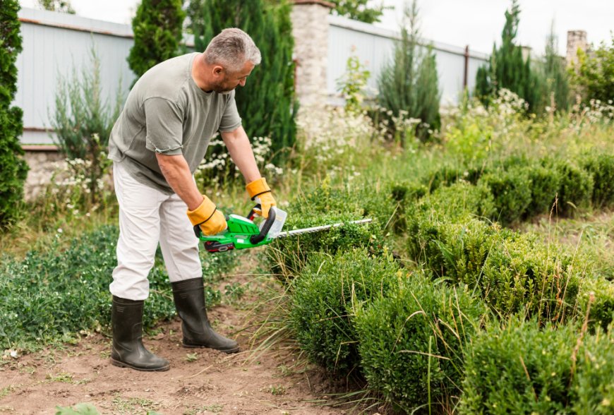 Your Guide to Mowing and Edging That Makes Your Lawn Look Clean and Fresh