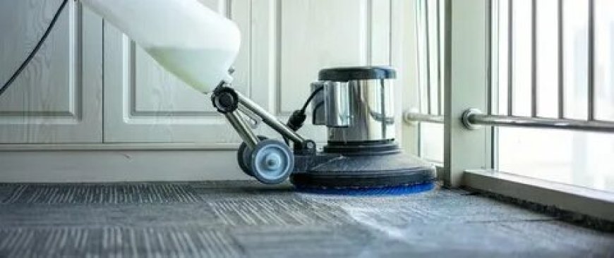 Expert Carpet Cleaning Services for Homes