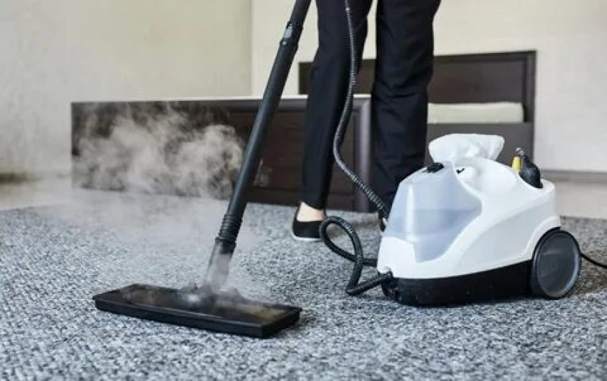 Reliable Upholstery Cleaning and Carpet Services