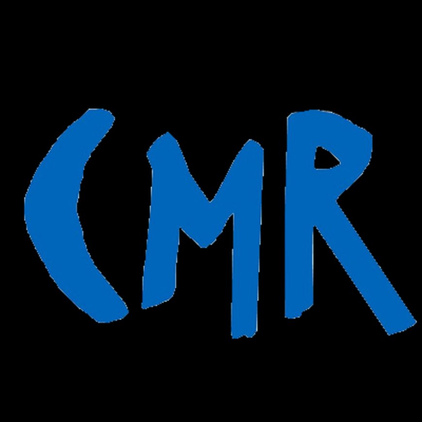Understanding CMR Documents in NSDL Demat Transfers