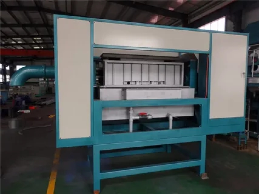 How to Improve Packaging Efficiency with a Pulp Molding Machine