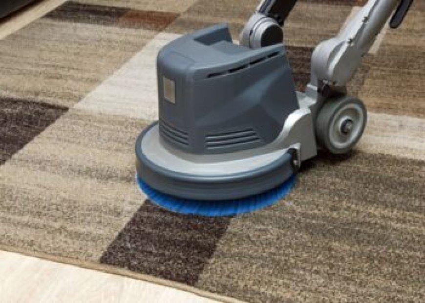 Carpet Cleaning Services for Quick Home Makeovers