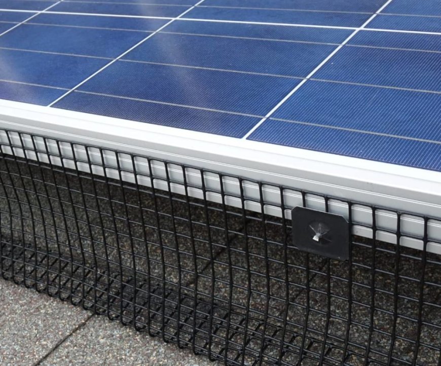 Effective Bird Control: Using Bird Repellent and Bird Deterrent Solutions