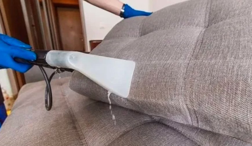 Carpet Cleaning Services Naples FL for Homes & Offices