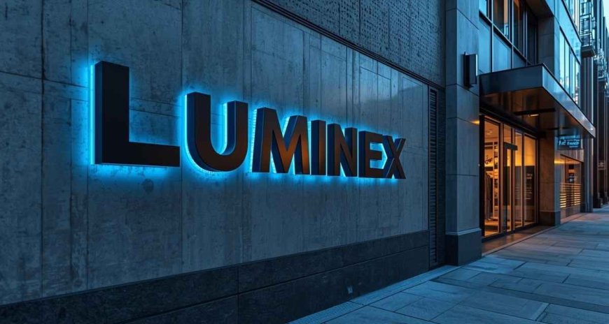 How Neon Brothers Is Shaping the Future of 3D Light Signage