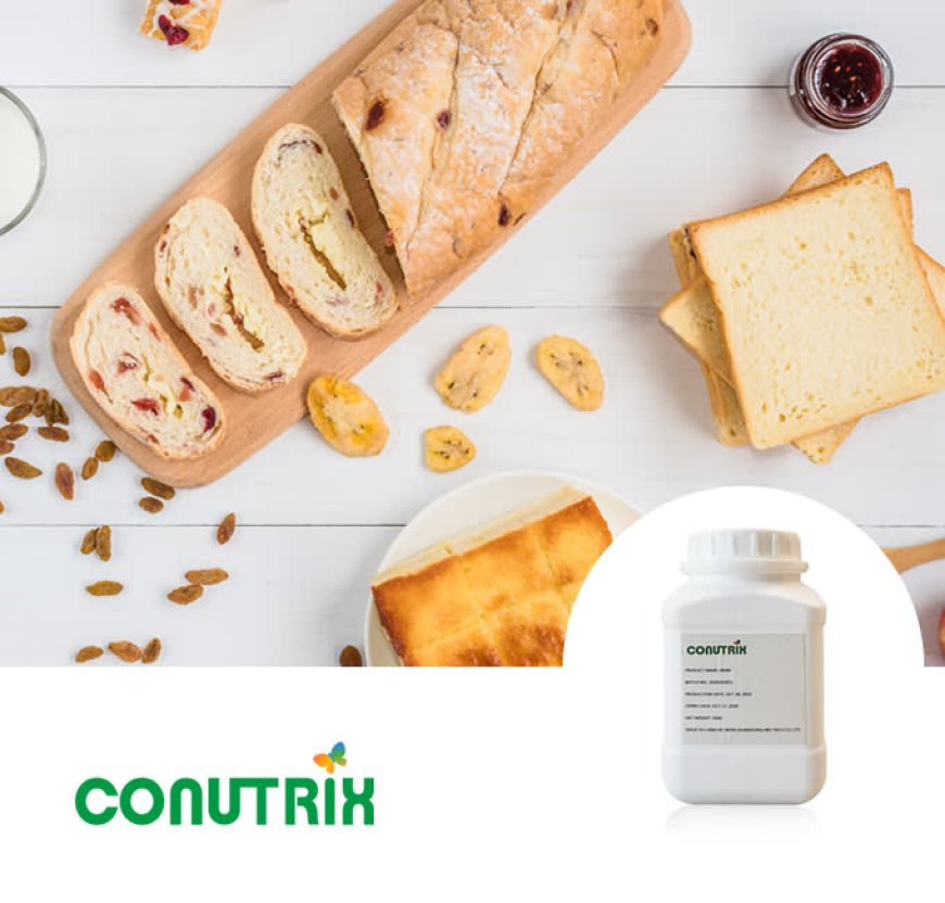 How can chemical industry companies do a good job in management during inspection and maintenance?