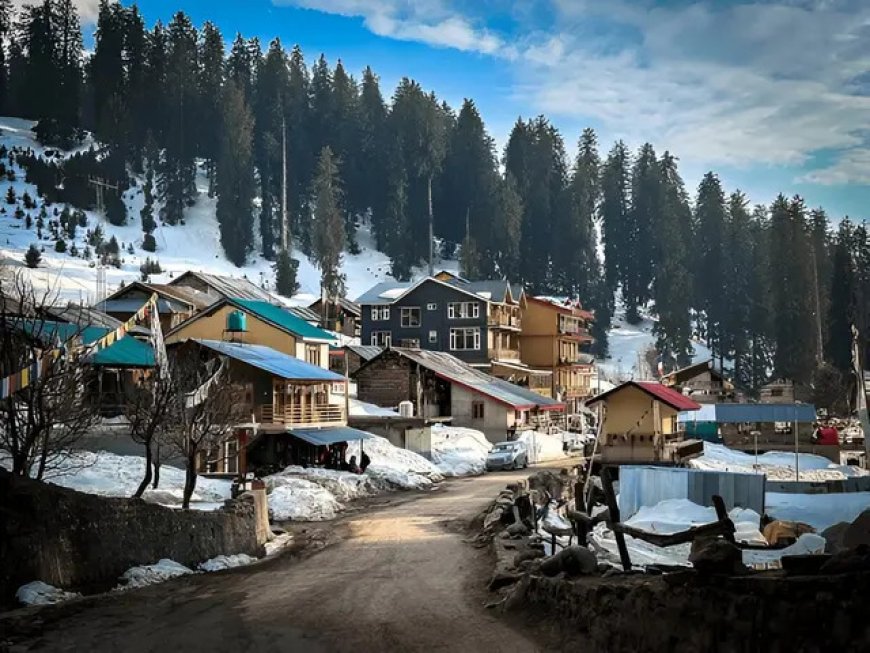 Which Himachal Pradesh Trip Is Best for Senior Citizens and Kids?