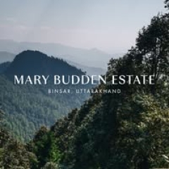 Mary budden