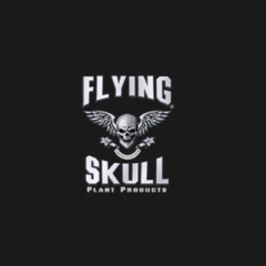 flyingskull