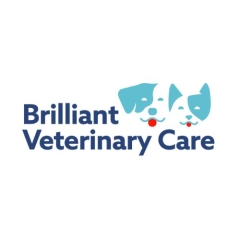 brilliantveterinarycare