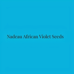 nadeauafricanvioletseeds