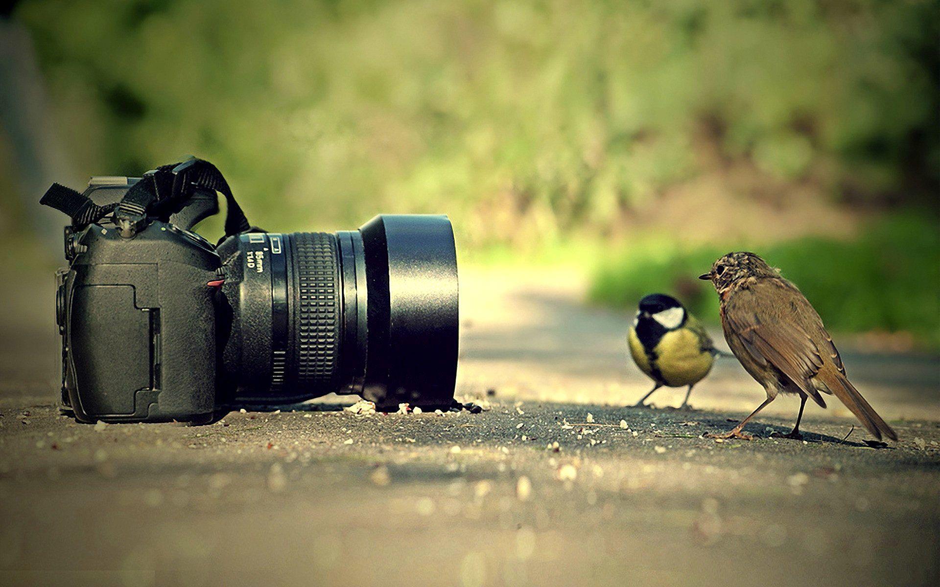 photography