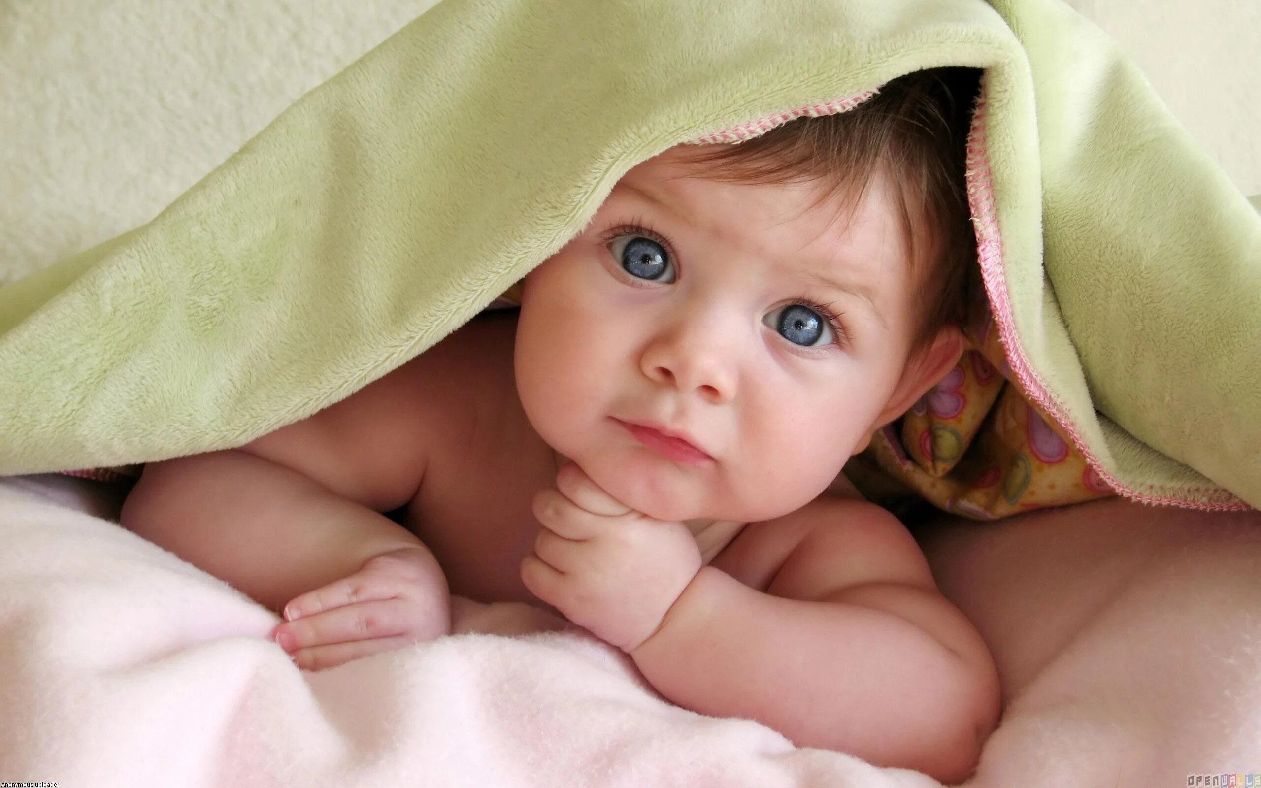 Johnson's Baby