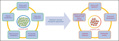 AML Insights Diagnosis Facts and Cures Unveiled
