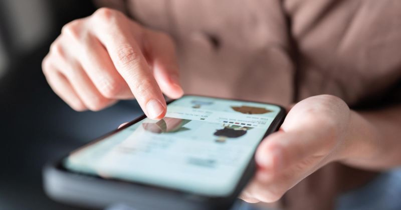 Digital Marketing Insights