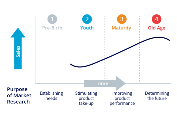 Market Research Impact on Product Development